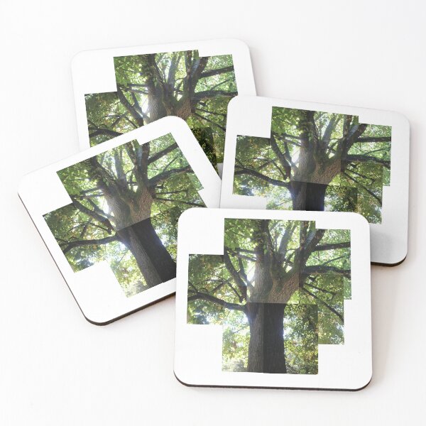Item preview, century-old lime tree designed and sold by chiara-chiarel.