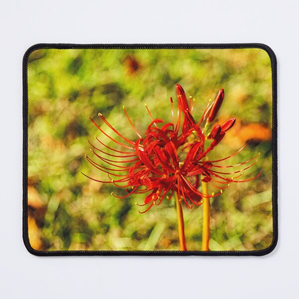 Item preview, The Spider Lily designed and sold by Kay Brewer.