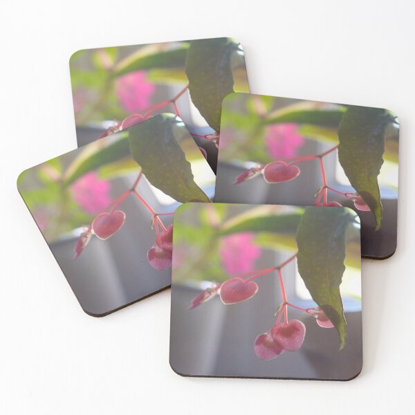 Item preview, Begonia flowers designed and sold by chiara-chiarel.