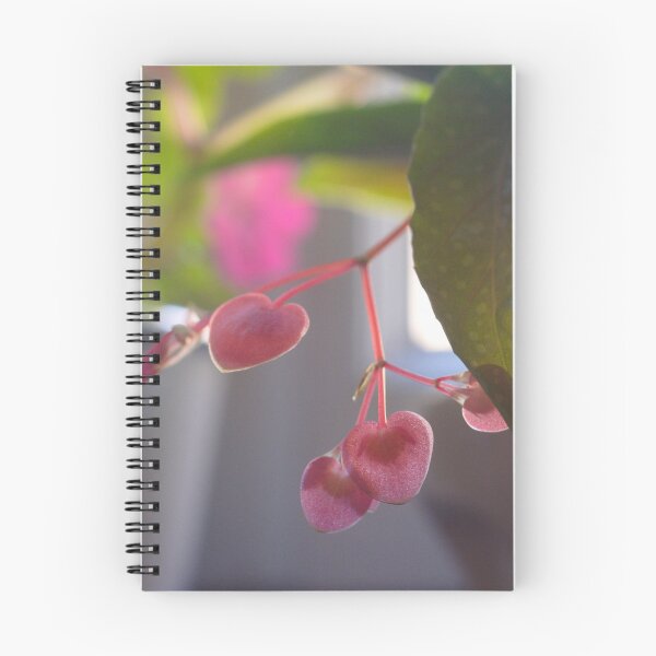 Item preview, Begonia flowers designed and sold by chiara-chiarel.