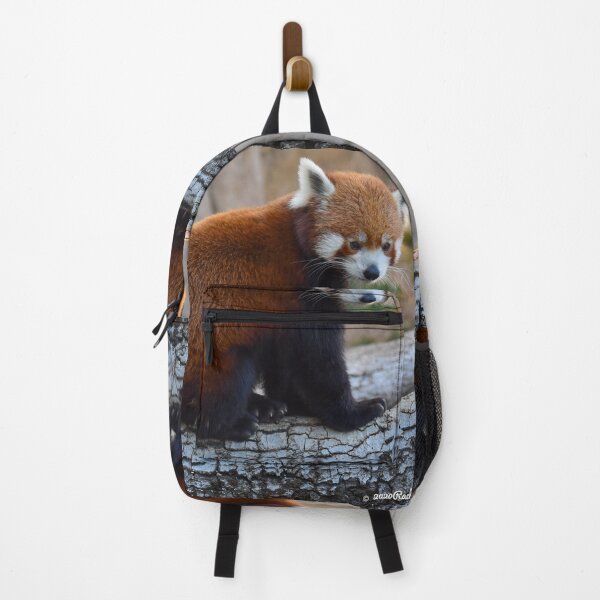 Item preview, Cute Red Panda with Long Whiskers Fine Art Print designed and sold by Yogibear & Rachelle .