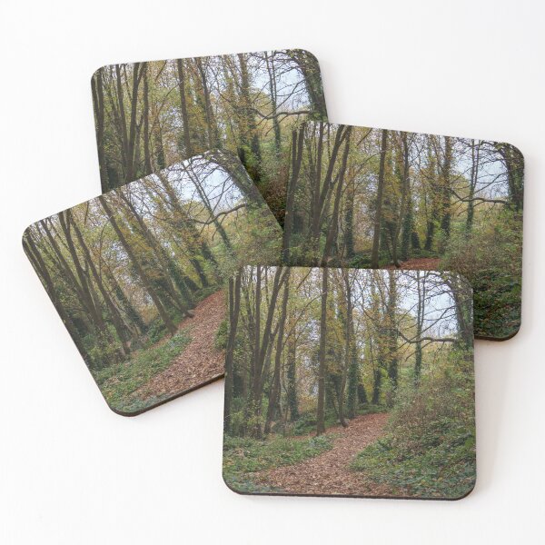 Item preview, Autumn Path designed and sold by Aham Photos.