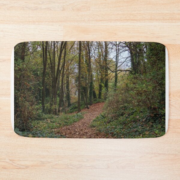 Item preview, Autumn Path designed and sold by Aham Photos.