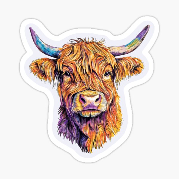 Highland Cow Sticker