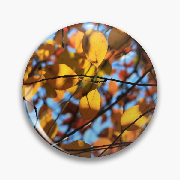 Item preview, Colorful autumn leaf on blue sky background designed and sold by olena2552.