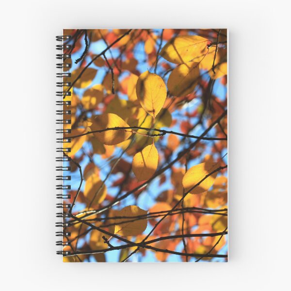 Item preview, Colorful autumn leaf on blue sky background designed and sold by olena2552.