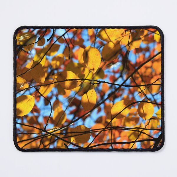 Item preview, Colorful autumn leaf on blue sky background designed and sold by olena2552.