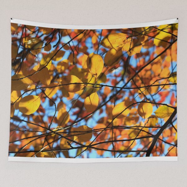 Item preview, Colorful autumn leaf on blue sky background designed and sold by olena2552.