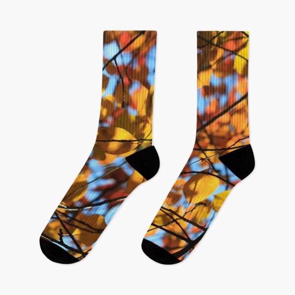 Item preview, Colorful autumn leaf on blue sky background designed and sold by olena2552.