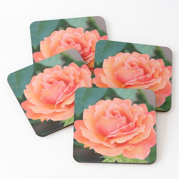 Item preview, The Rose of Stawell designed and sold by Gail Mew.