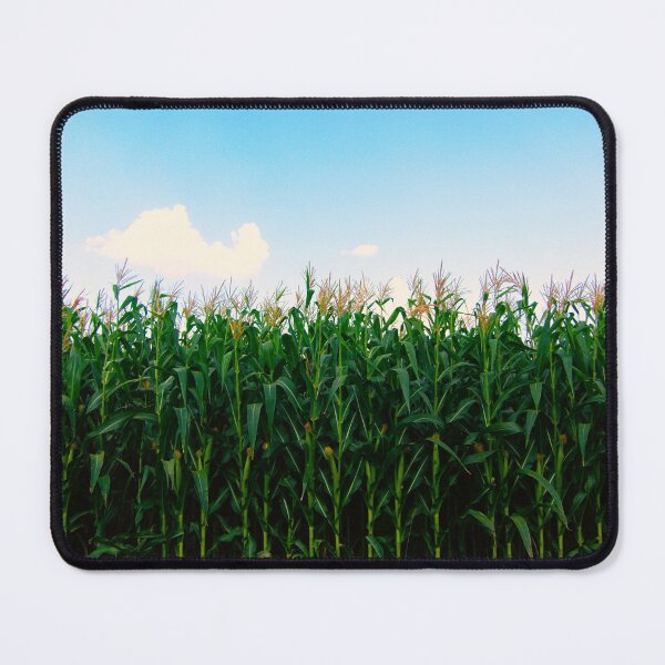 Item preview, Corn fields designed and sold by Topmel.