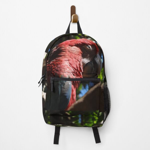 Item preview, Sleepy parrot designed and sold by HenryLt4.