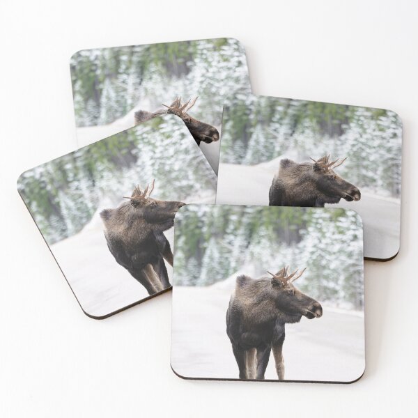 Item preview, Moose in Canada with snow background designed and sold by Kana Photography.