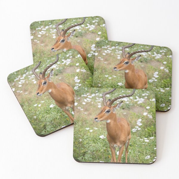 Item preview, Impala Among the Wildflowers, Tarangire National Park designed and sold by Andrew Goodall.