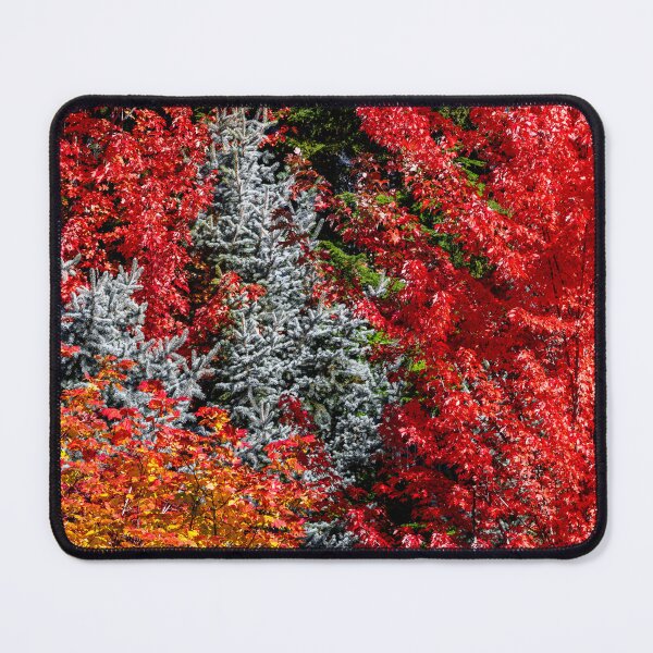 Item preview, Colors of Whistler Canada designed and sold by Kana Photography.
