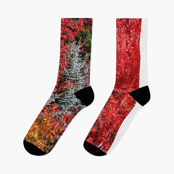 Item preview, Colors of Whistler Canada designed and sold by Kana Photography.