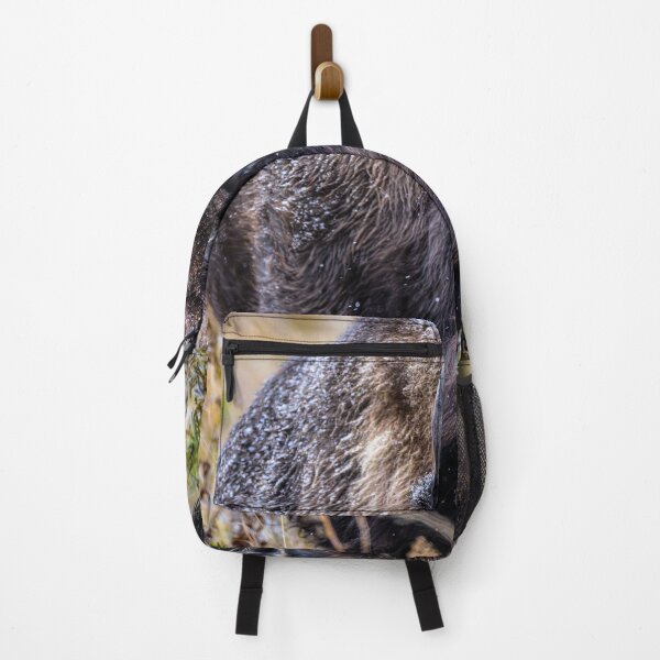 Item preview, Bison in Canada designed and sold by Kana Photography.