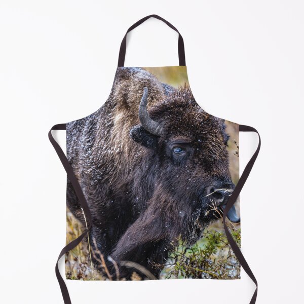 Item preview, Bison in Canada designed and sold by Kana Photography.