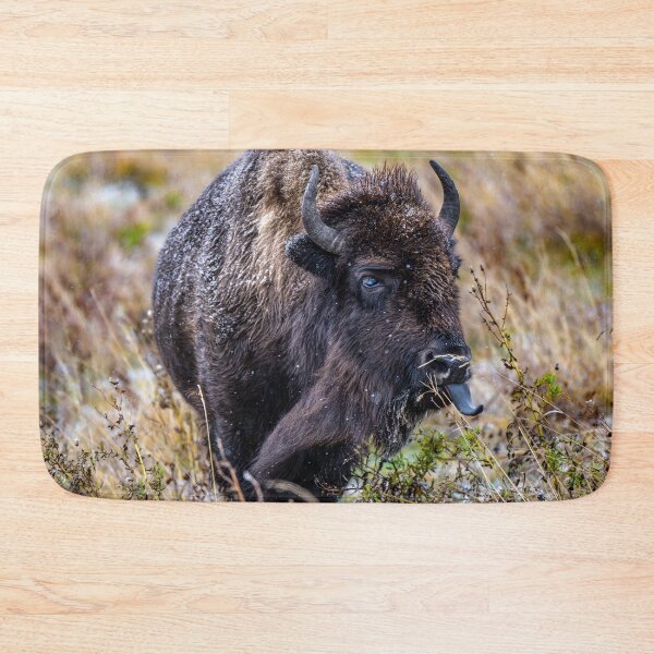 Item preview, Bison in Canada designed and sold by Kana Photography.