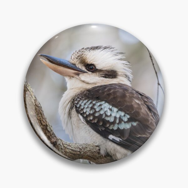 Item preview, Kookaburra - A Perfect Pose designed and sold by Andrew Goodall.
