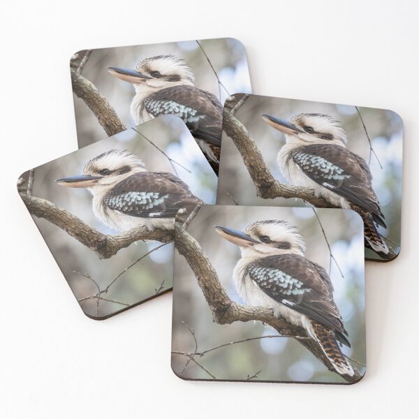 Item preview, Kookaburra - A Perfect Pose designed and sold by Andrew Goodall.