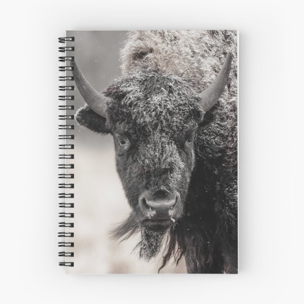 Item preview, Bison in the snow designed and sold by Kana Photography.