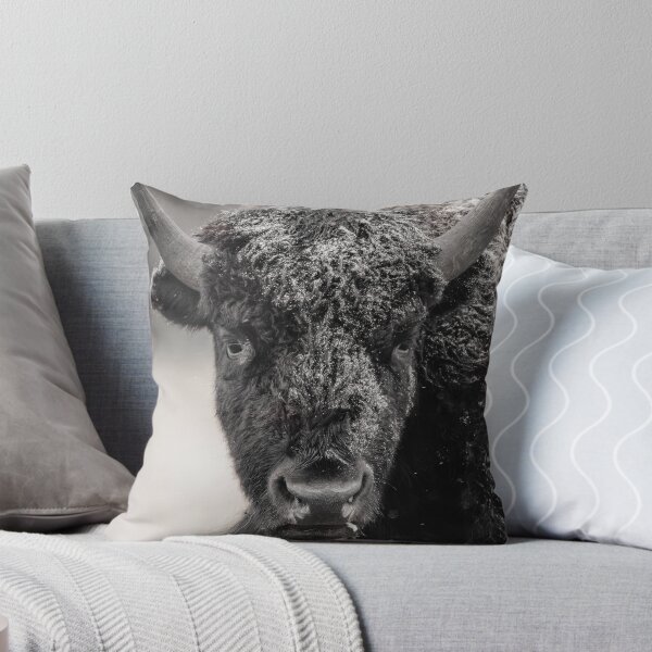 Item preview, Bison in the snow designed and sold by Kana Photography.