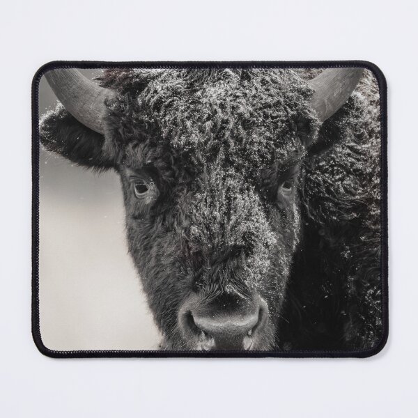 Item preview, Bison in the snow designed and sold by Kana Photography.