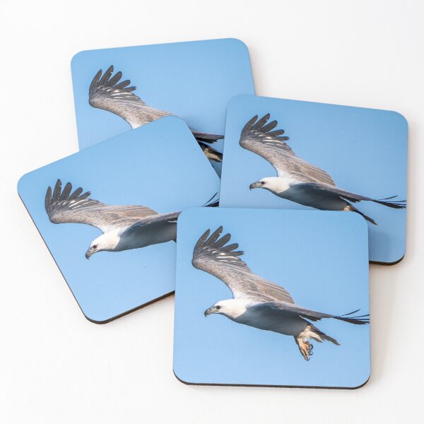 Item preview, White Bellied Sea Eagle, Sunshine Coast, Queensland designed and sold by Andrew Goodall.