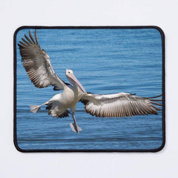 Item preview, Australian Pelican: Landing Gear Down designed and sold by Andrew Goodall.