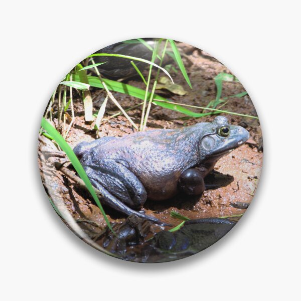 Item preview, Bullfrog designed and sold by Valeria Lee.