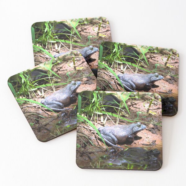Item preview, Bullfrog designed and sold by Valeria Lee.