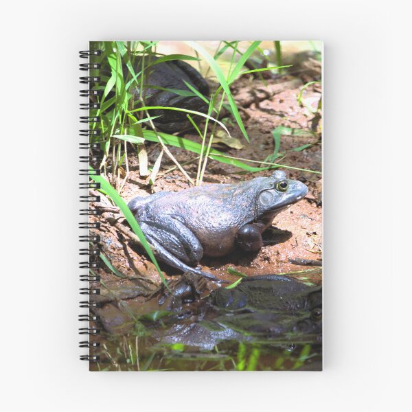 Item preview, Bullfrog designed and sold by Valeria Lee.