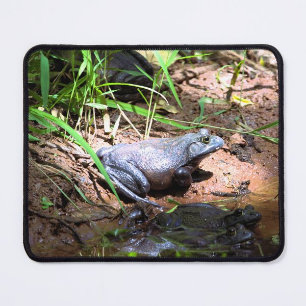 Item preview, Bullfrog designed and sold by Valeria Lee.