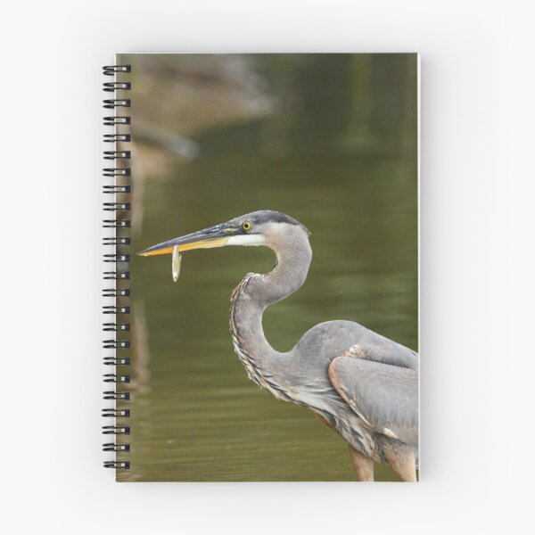 Item preview, Great Blue Heron designed and sold by Valeria Lee.