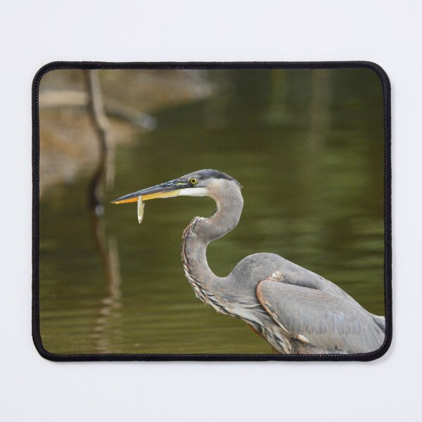 Item preview, Great Blue Heron designed and sold by Valeria Lee.