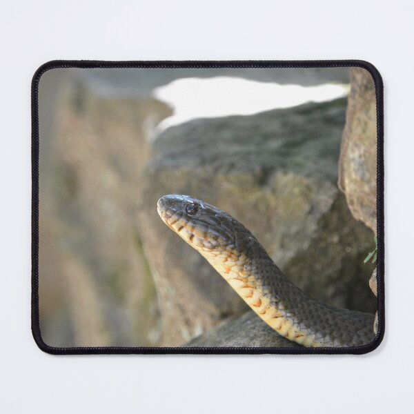 Item preview, Water Snake designed and sold by Valeria Lee.