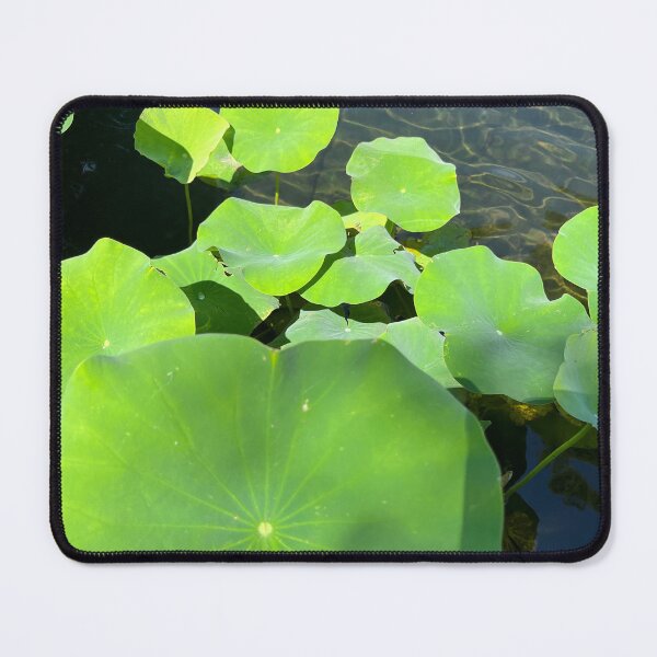 Item preview, Lily Pads In A Pond designed and sold by EmmaLilStudio.