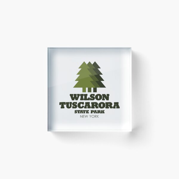 Item preview, Wilson Tuscarora State Park New York designed and sold by bivenart.