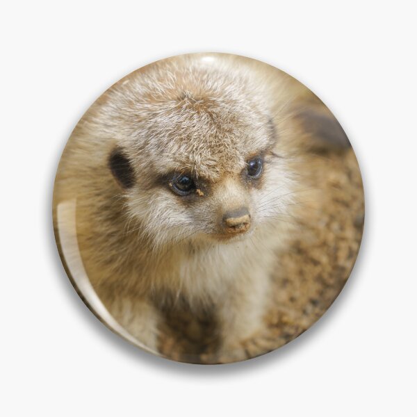 Item preview, Baby Meerkat's Rocky Adventure designed and sold by rawshutterbug.