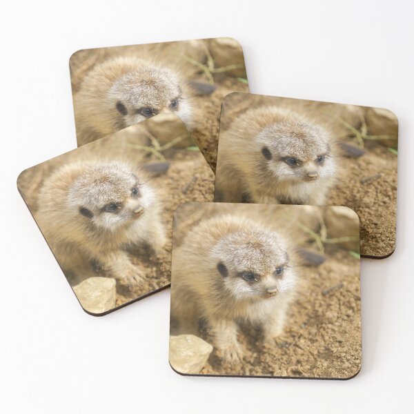Item preview, Baby Meerkat's Rocky Adventure designed and sold by rawshutterbug.