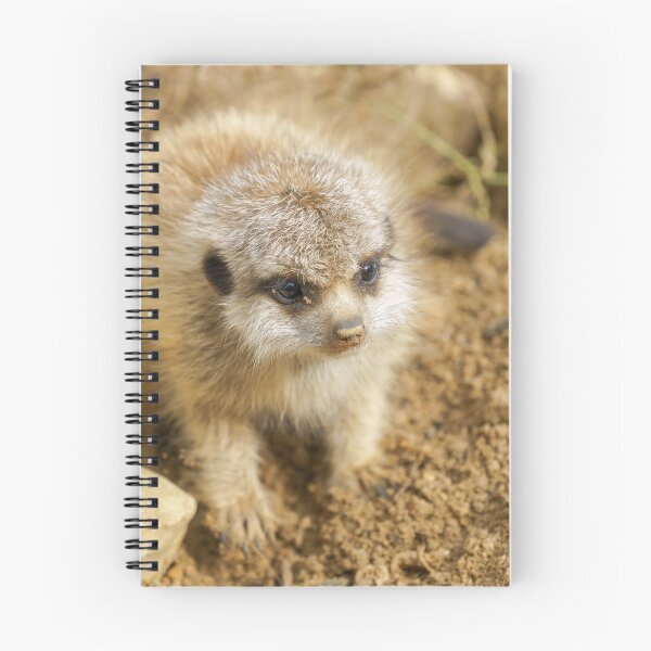 Item preview, Baby Meerkat's Rocky Adventure designed and sold by rawshutterbug.