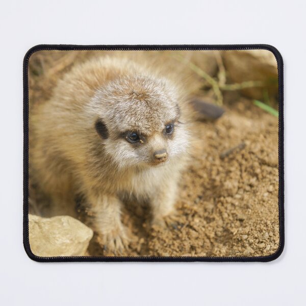 Item preview, Baby Meerkat's Rocky Adventure designed and sold by rawshutterbug.