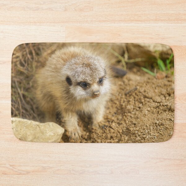 Item preview, Baby Meerkat's Rocky Adventure designed and sold by rawshutterbug.