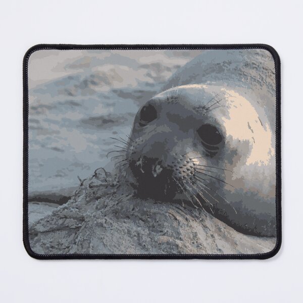 Item preview, elephant seal designed and sold by Emma Lang.