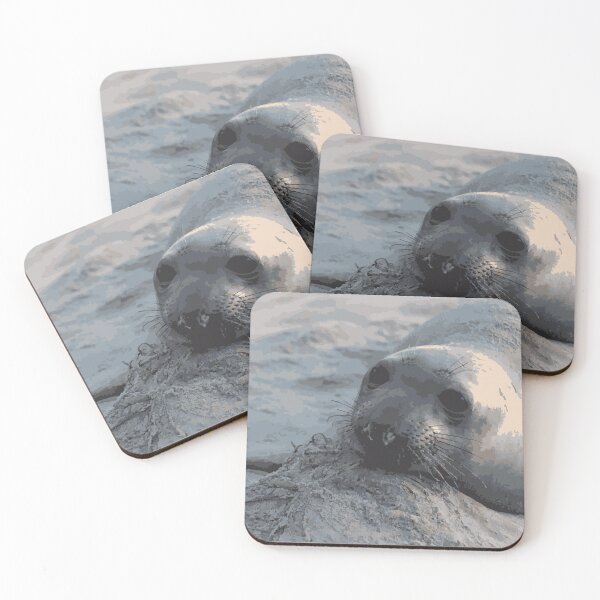 Item preview, elephant seal designed and sold by Emma Lang.