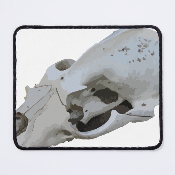 Item preview, creature skull designed and sold by Emma Lang.