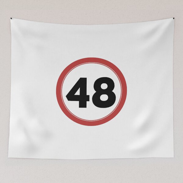 Item preview, Speed limit 48, happy 48th birthday designed and sold by Wolagno.
