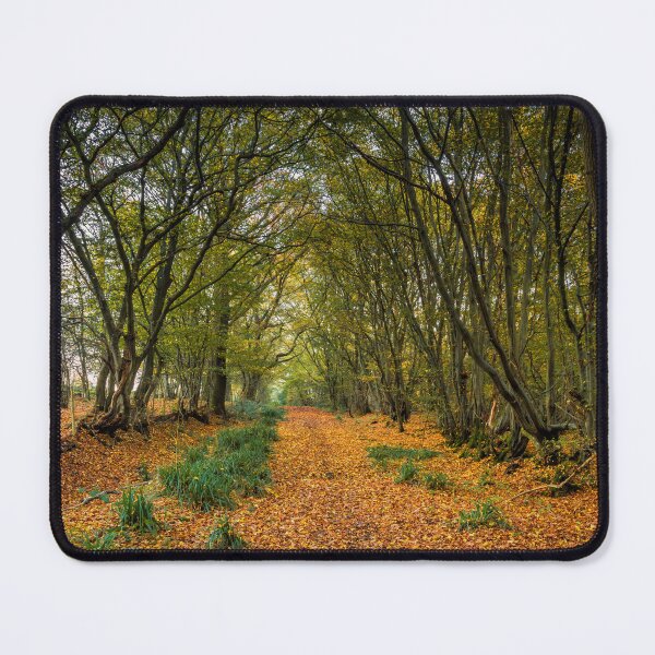 Item preview, Autumnal designed and sold by JEZ22.