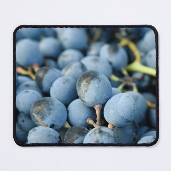Item preview, Detailed View of a Cluster of Blue Grapes designed and sold by Anastasia Kaneva.